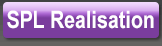 Real Estate (RE)